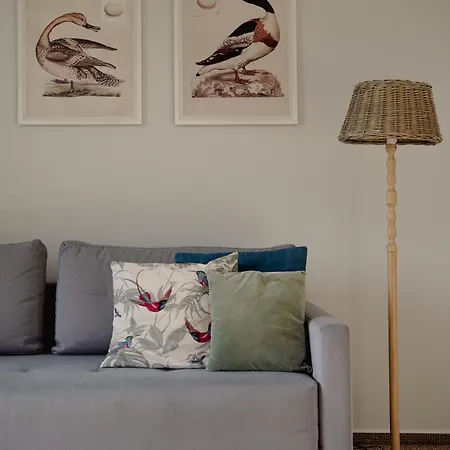 Rum i privatbostad Busola House *